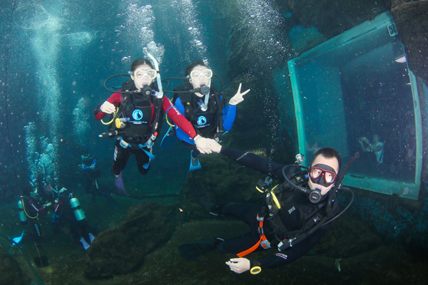 12/12正式上線！PADI 最新課程【休閑潛水員Resort Diver】 丨 一天拿證，潛遍全球