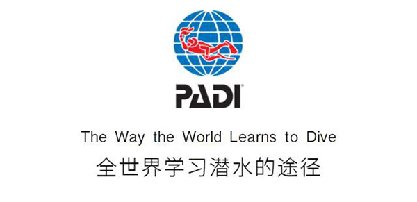 12/12正式上線！PADI 最新課程【休閑潛水員Resort Diver】 丨 一天拿證，潛遍全球