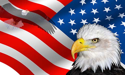 美國關(guān)稅低申報(bào)會提高查驗(yàn)的幾率